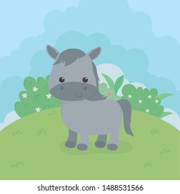 cute horse animal farm character