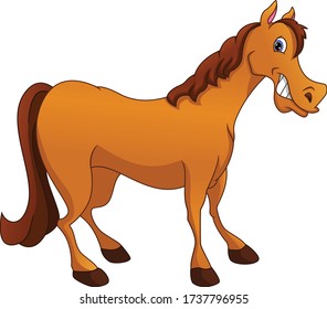 cute horse cartoon on a white background