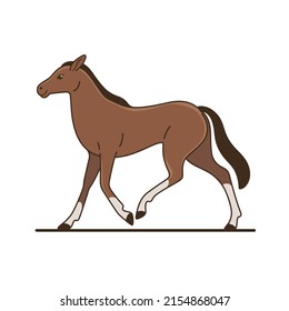 Cute Horse Detailed Drawing Animal Contour Stock Vector (Royalty Free ...