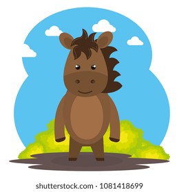 cute horse in the field landscape character