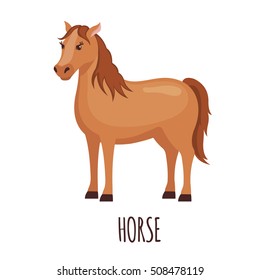 Cute horse in flat style isolated on white background. Vector illustration. Farm animal. Cartoon horse.