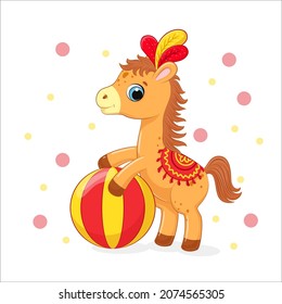 A Cute Horse Performs In A Circus. Vector Illustration Of A Cartoon.