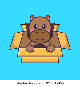 Cute horse Playing In Box.