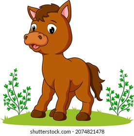 The cute horse is playing in the park of illustration