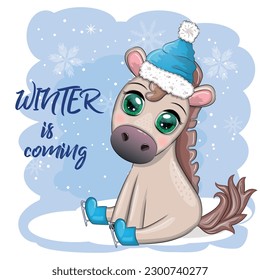 Cute horse, pony in Santa's hat with candy kane, Christmas ball, gift, ice skating. Winter is coming, Christmas postcard