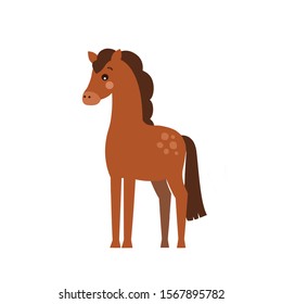 Cute horse vector illustration isolated on white background.Children illustration.