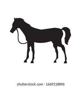 Cute horses standing silhouette vector illustration. Farm horse animal.