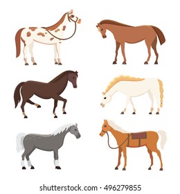 Horses Clipart Images Stock Photos Vectors Shutterstock