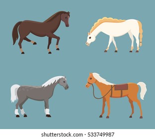 Cute horses in various poses vector design. Cartoon farm wild isolated horse and different silhouette of flat pony