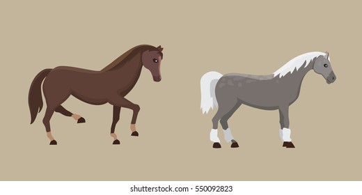 Cute horses in various poses vector design. Cartoon farm wild isolated horse and different silhouette of flat pony