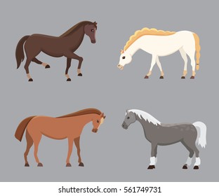 Cute horses in various poses vector design. Cartoon farm wild isolated horse and different silhouette of flat pony