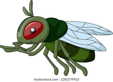 Cute house fly cartoon on white background