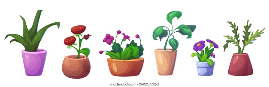 Cute house garden with plant in flower pot vector. Rose flowerpot for office or home shelve isolated object. Sansevieria and foliage ficus simple interior decor bundle. Various bloom graphic art