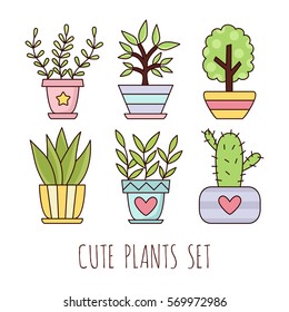 Cute house plants in pots. Vector illustration.