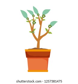 cute houseplant floral decoration