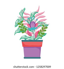cute houseplant floral decoration