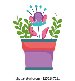 cute houseplant floral decoration