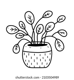 Cute houseplant in flower pot isolated on white background. Vector hand-drawn illustration in doodle style. Perfect for cards, decorations, logo.