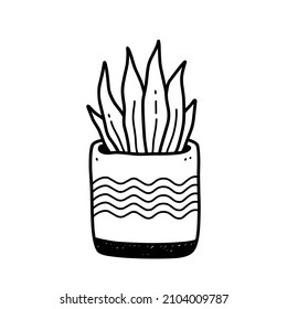 Cute houseplant in flower pot isolated on white background. Vector hand-drawn illustration in doodle style. Perfect for cards, decorations, logo.