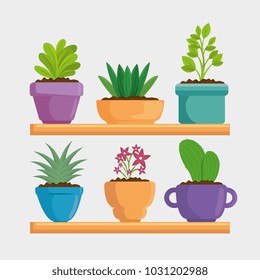 cute houseplant in pot