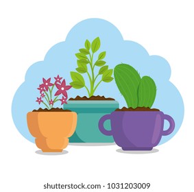 cute houseplant in pot