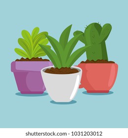 cute houseplant in pot