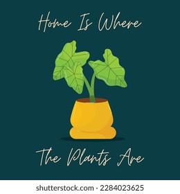 Cute houseplant in yellow pot with inspirational quote Home is where the plants are. Vector hand drawn illustration.