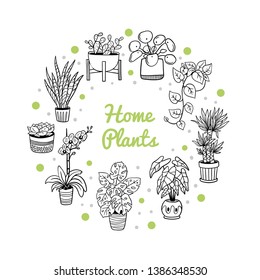 Cute houseplants in a circle shape. Doodle monochrome plants in pots. Vector illustration. Natural design elements can be used for postcards, banners, websites or ads.