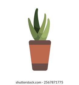 Cute Houseplants in flower pots on white background. Potted Plant Illustration.