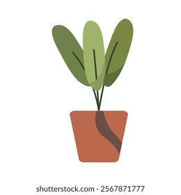 Cute Houseplants in flower pots on white background. Potted Plant Illustration.