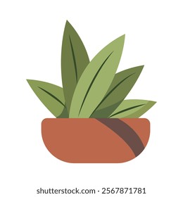 Cute Houseplants in flower pots on white background. Potted Plant Illustration.