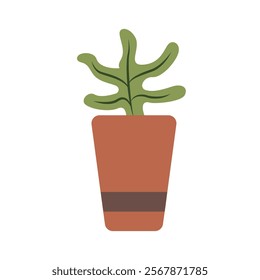 Cute Houseplants in flower pots on white background. Potted Plant Illustration.