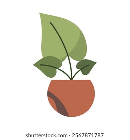 Cute Houseplants in flower pots on white background. Potted Plant Illustration.