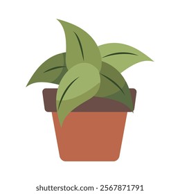 Cute Houseplants in flower pots on white background. Potted Plant Illustration.