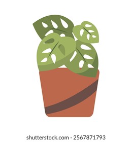 Cute Houseplants in flower pots on white background. Potted Plant Illustration.