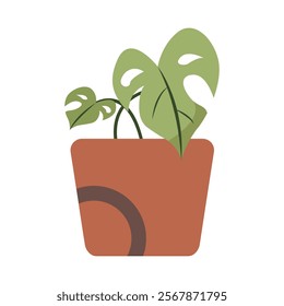 Cute Houseplants in flower pots on white background. Potted Plant Illustration.