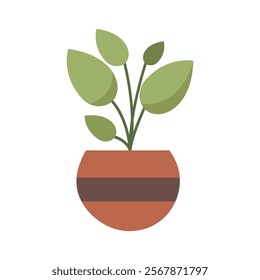 Cute Houseplants in flower pots on white background. Potted Plant Illustration.