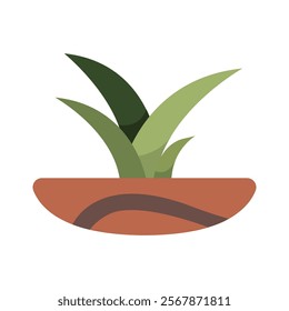 Cute Houseplants in flower pots on white background. Potted Plant Illustration.