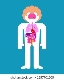 Cute Human anatomy organs Internal. cartoon style Systems of man body and organs. medical systems. kids character. Childrens style