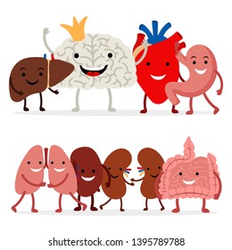 Cute human internal organs vector isolated on white background. Illustration of medical organ, internal human