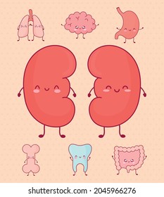 Cute Human Organs Icons Bundle