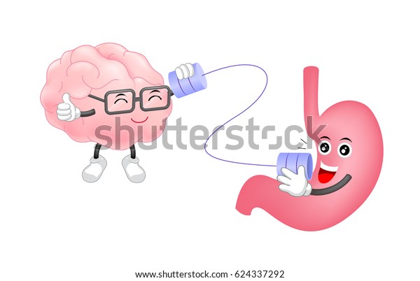 可愛い人間の胃は 電話で脳のキャラクターと話す 白い背景にカートーンイラスト 健康な人の胃と脳の特徴 脳と胃の接続のコンセプト のベクター画像素材 ロイヤリティフリー