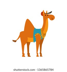 Cute Humanized Camel Animal Cartoon Character Vector Illustration
