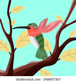 cute humming bird vector on the floral background.