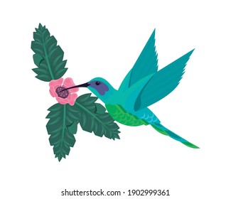 cute hummingbird flying animal with flowers and leafs vector illustration design