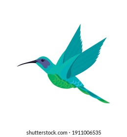 cute hummingbird flying animal nature icon vector illustration design