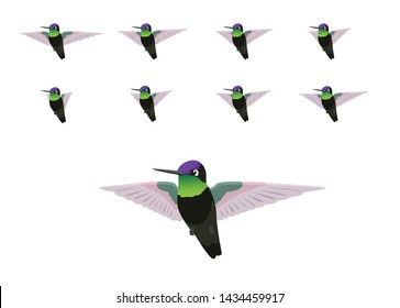 Cute Hummingbird Flying Frame Animation Vector