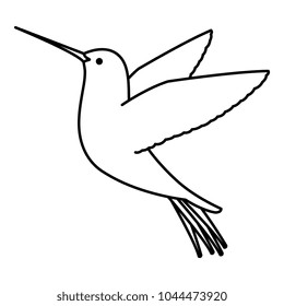 cute hummingbird flying icon