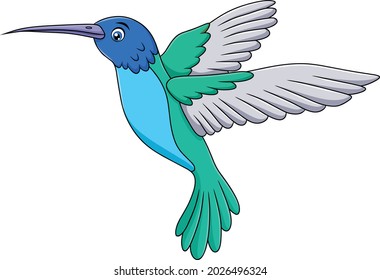 Cute Hummingbirds cartoon vector illustration