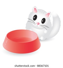 Cute hungry kitten with empty bowl isolated on white